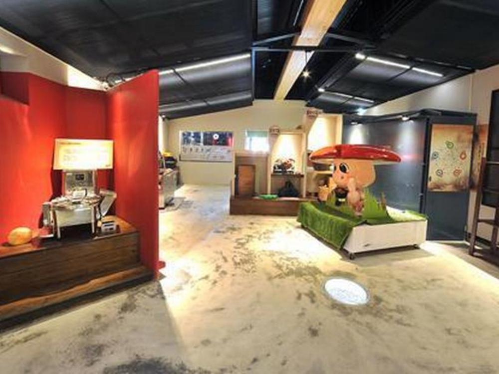 taiwan reishi expert bed and breakfast