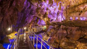 the machiya hotel takayama