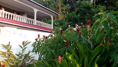 precious residence c self catering studio