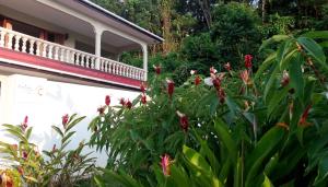 precious residence c self catering studio