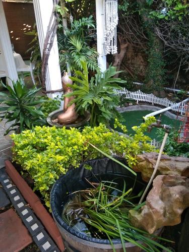 mitchells guesthouse