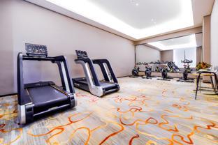 borrman hotel guilin pingle