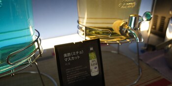 rembrandt cabin shinjuku shin okubo