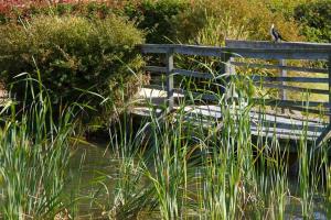 Potters Apartments,Hunter Valley>>Cessnock,4 star