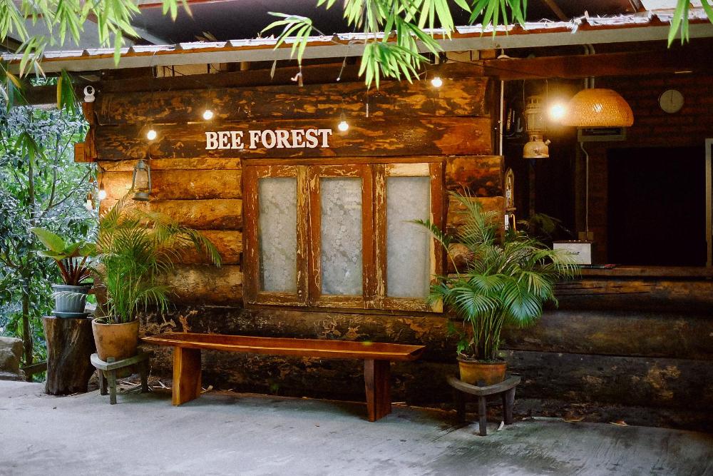 bee forest