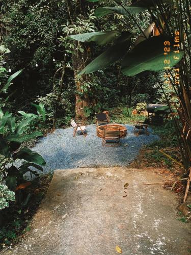 bee forest