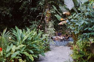 bee forest