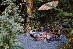 bee forest