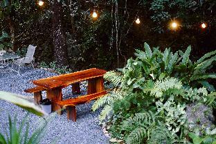 bee forest