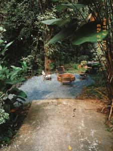 bee forest