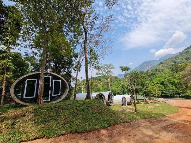 the rock lodge