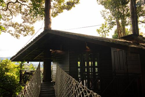 the rock lodge