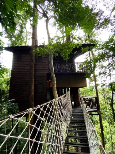 the rock lodge