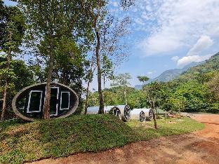 the rock lodge