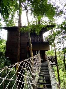 the rock lodge