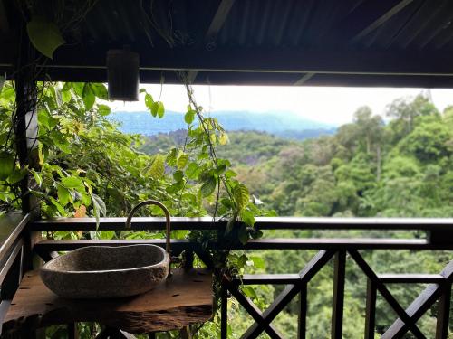 the rock lodge