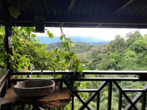 the rock lodge