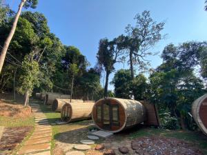the rock lodge