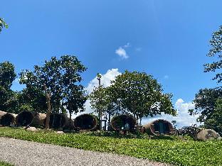 the rock lodge