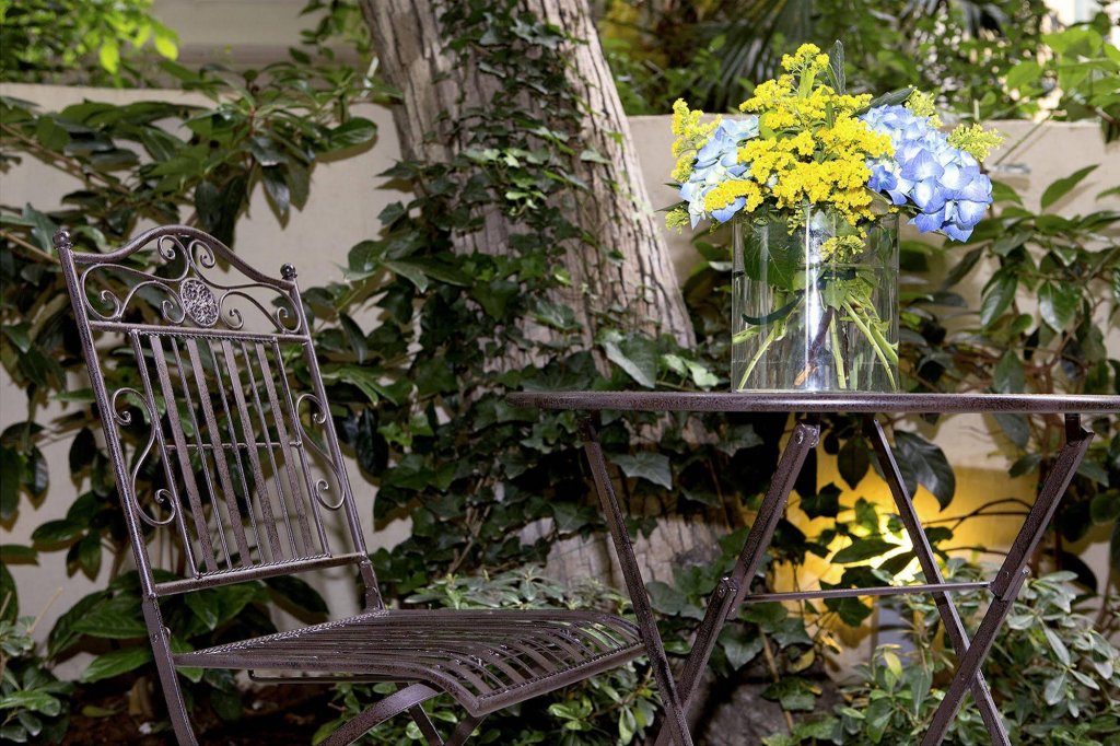 gatto perso luxury apartments