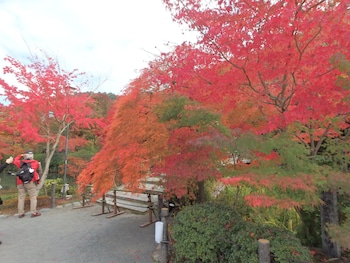 kyoto