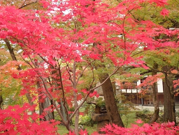 kyoto