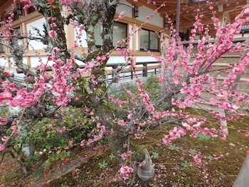 kyo no yado nishioji inn