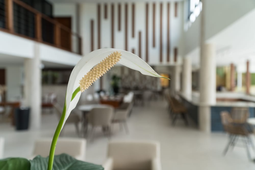 cara hotels trinidad