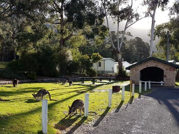 halls gap