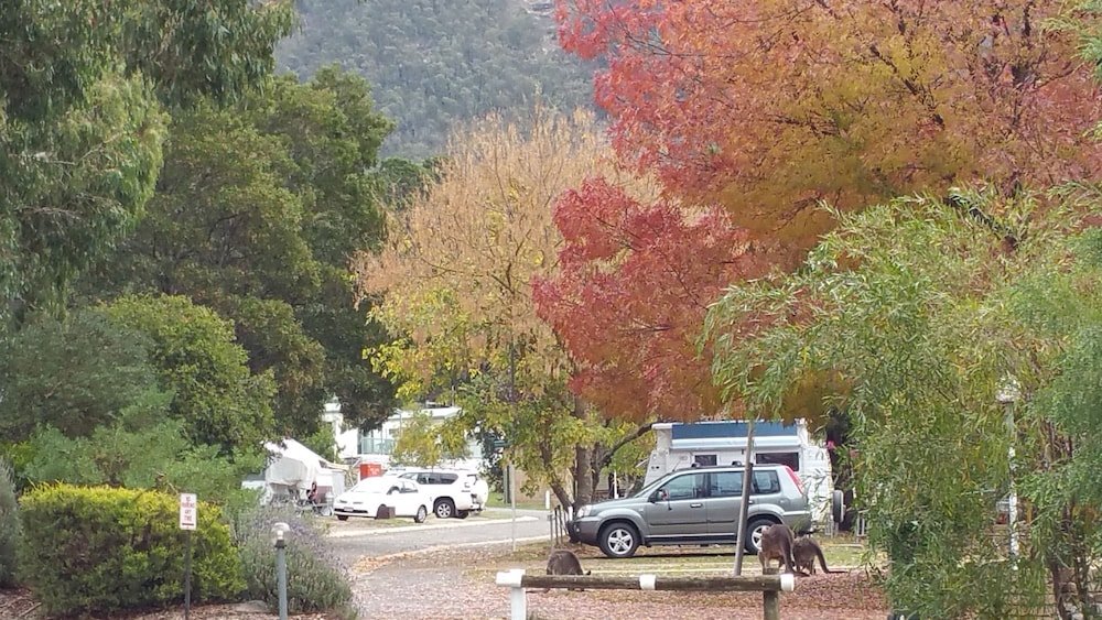 halls gap