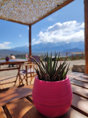 denmoza eco lodge glamping