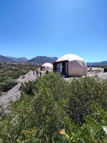 denmoza eco lodge glamping