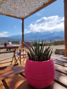denmoza eco lodge glamping