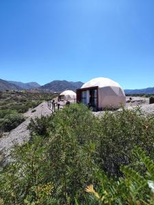 denmoza eco lodge glamping