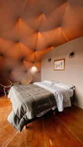 denmoza eco lodge glamping