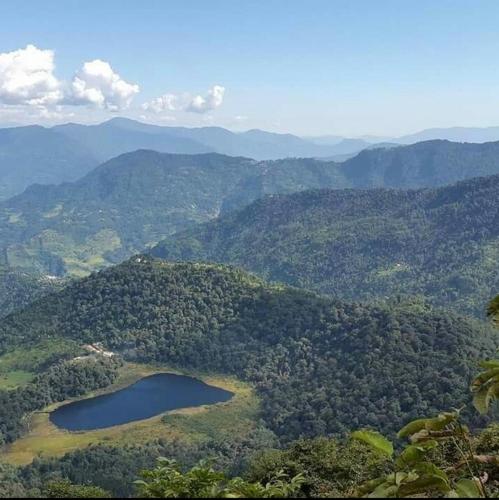 pelling
