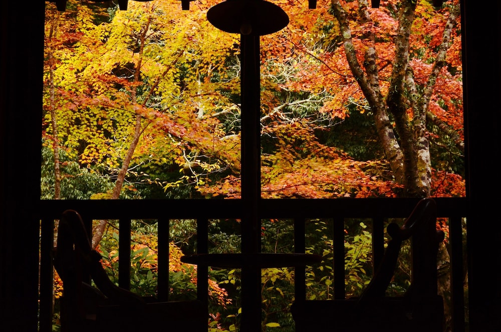 minamioguni