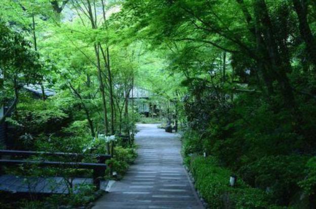 kurokawa onsen okunoyu