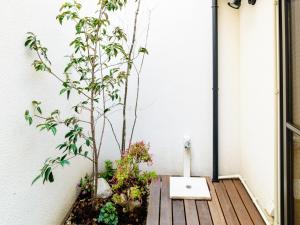 kyoto
