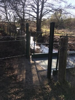 foresterseat glamping