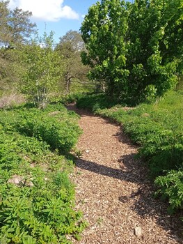 foresterseat glamping
