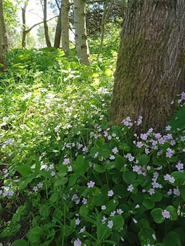 foresterseat glamping