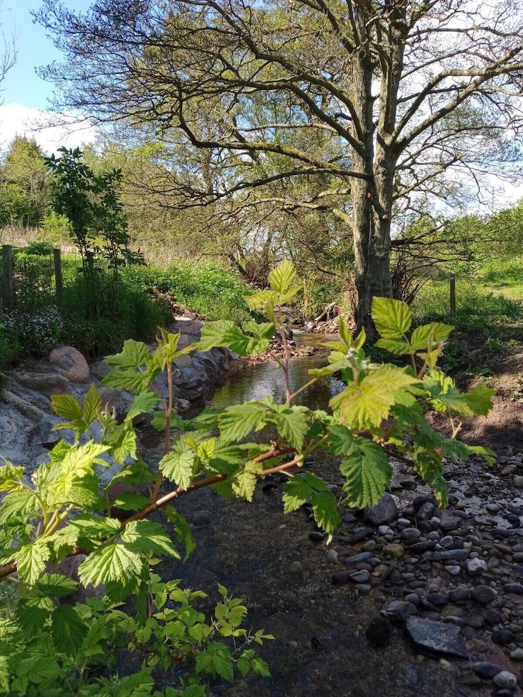 foresterseat glamping