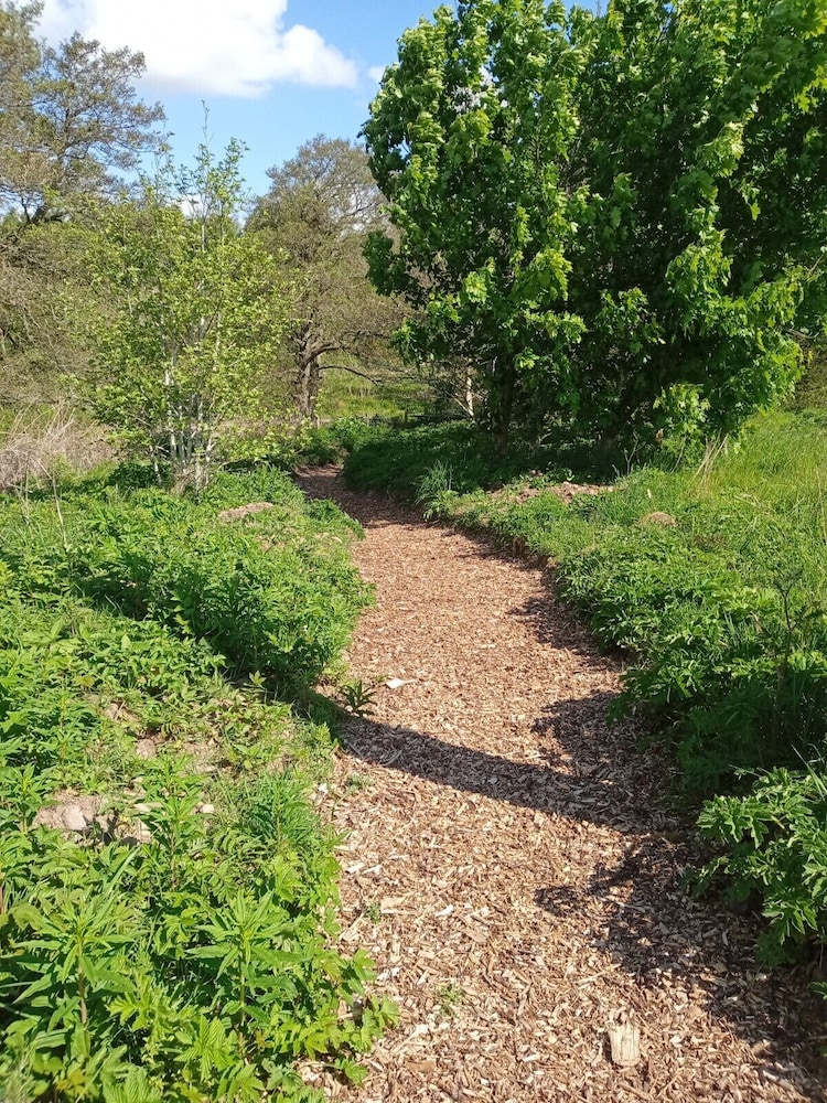 foresterseat glamping