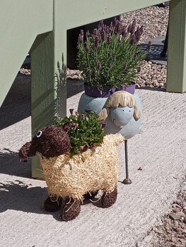 foresterseat glamping