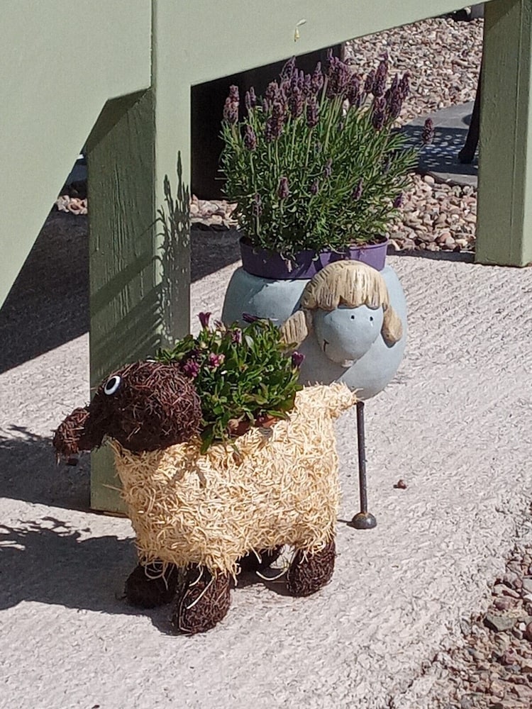 foresterseat glamping