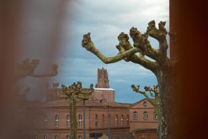 le rez de jardin albi