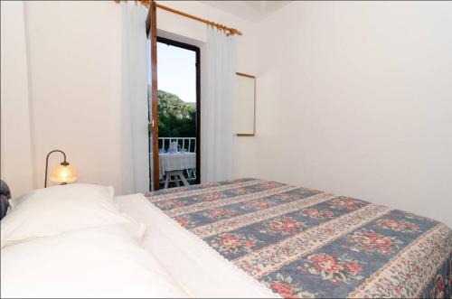 mljet