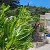 mljet