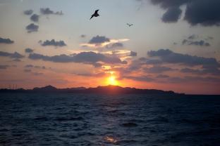 daebudo aladdin pension